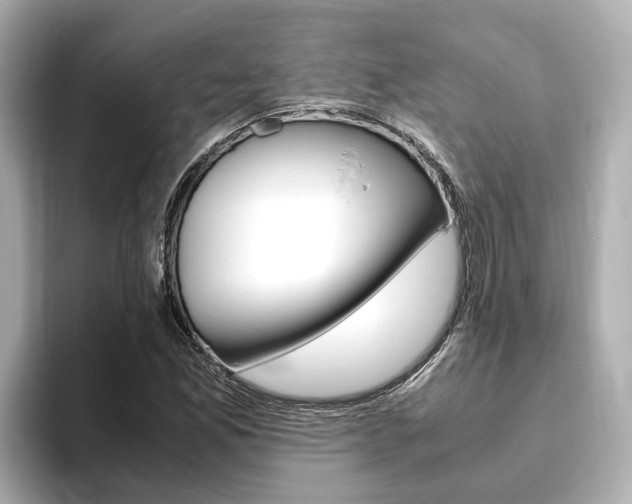 X0000093771165200710160850