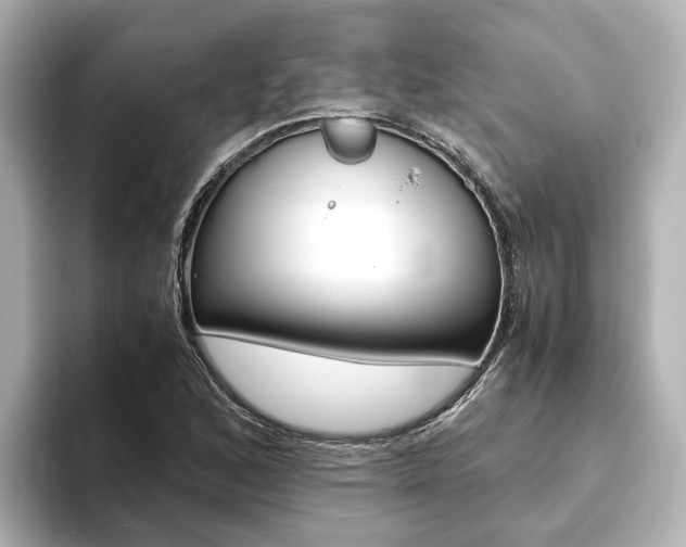 X0000093771168200710160850