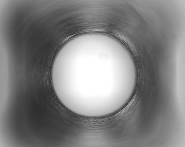 X0000093771169200710160850