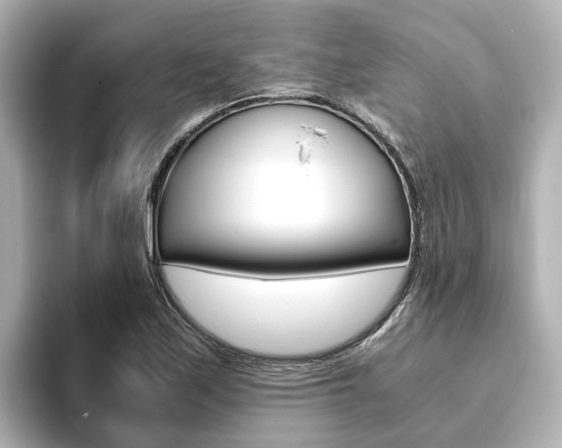 X0000093771171200710160850
