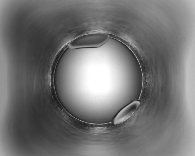 X0000093771173200710160850