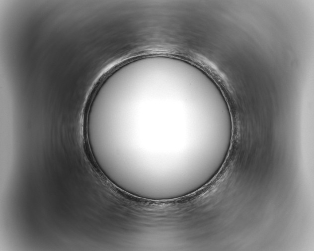 X0000093771174200710160850