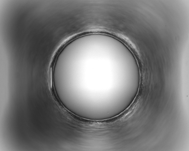 X0000093771175200710160850