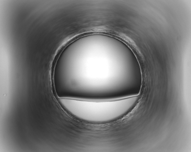 X0000093771176200710160850