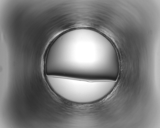 X0000093771179200710160850