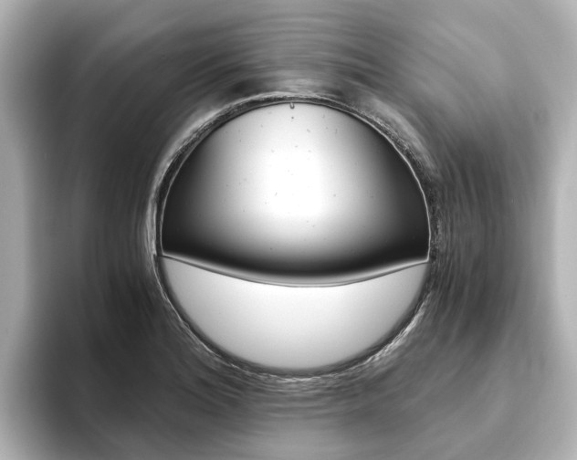 X0000093771180200710160850