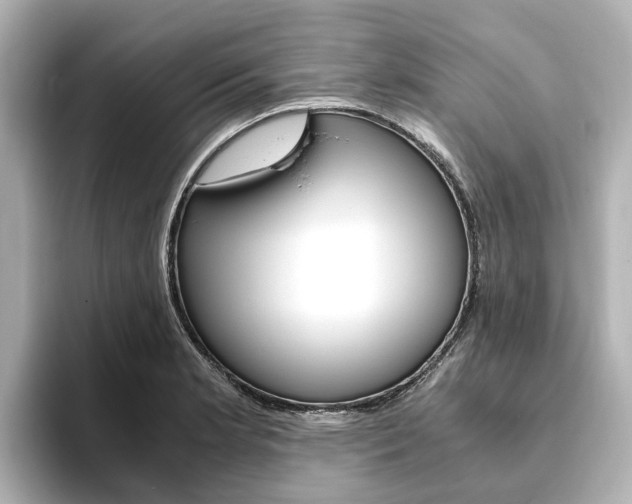 X0000093771181200710160850
