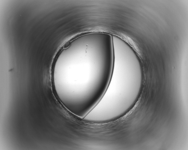 X0000093771184200710160850