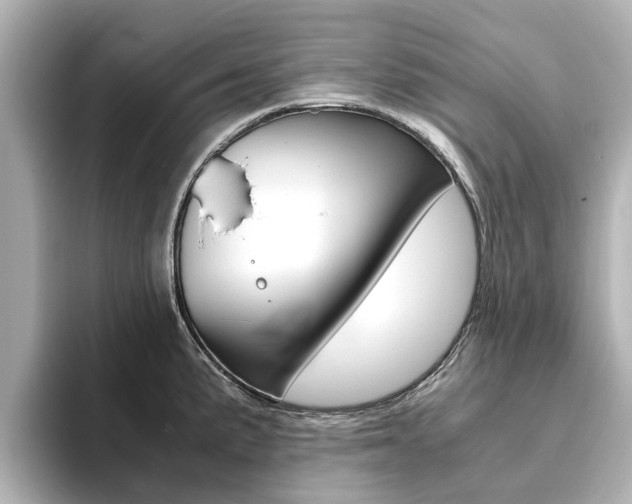 X0000093771191200710160850