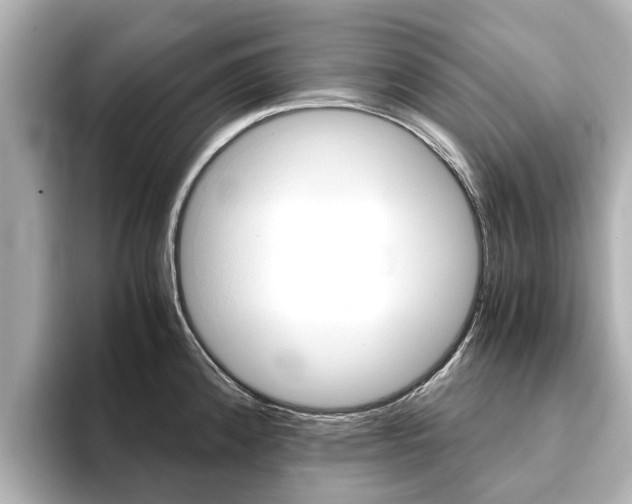 X0000093771192200710160850