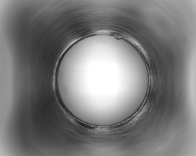 X0000093771194200710160850