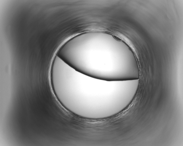 X0000093771195200710160850