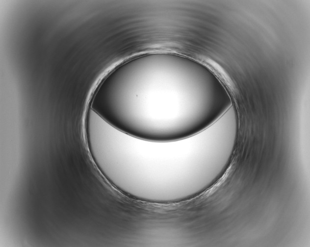 X0000093771196200710160850