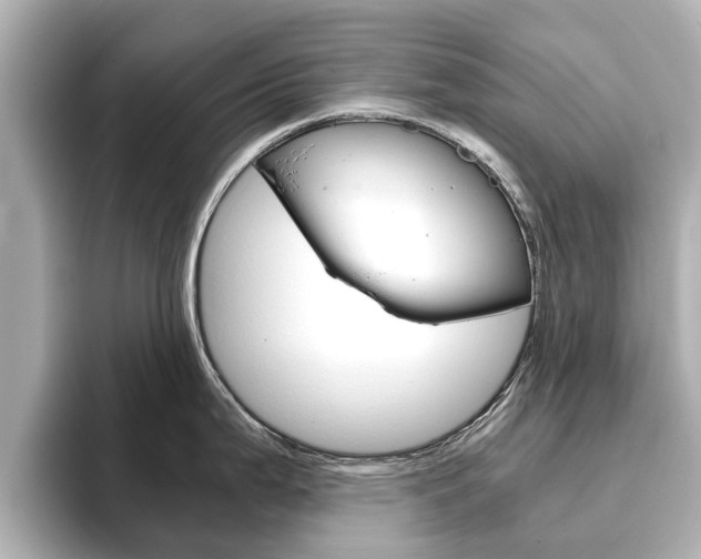 X0000093771199200710160850