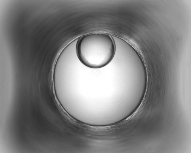 X0000093771200200710160850