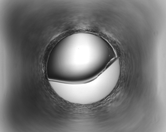 X0000093771206200710160849