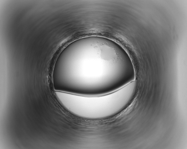 X0000093771210200710160849