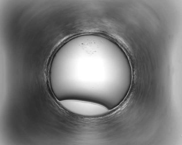 X0000093771212200710160849