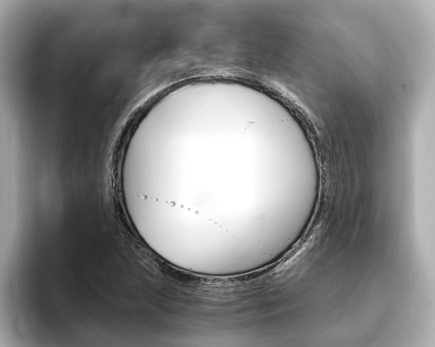 X0000093771215200710160849