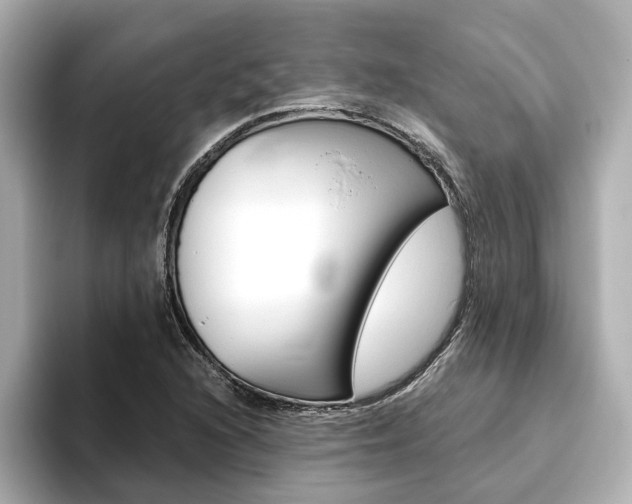 X0000093771216200710160849