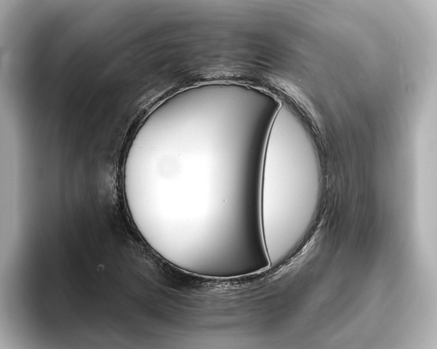 X0000093771217200710160849