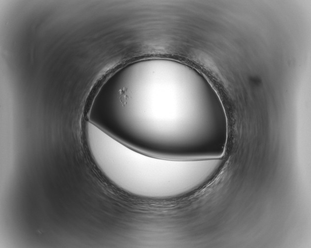 X0000093771218200710160850