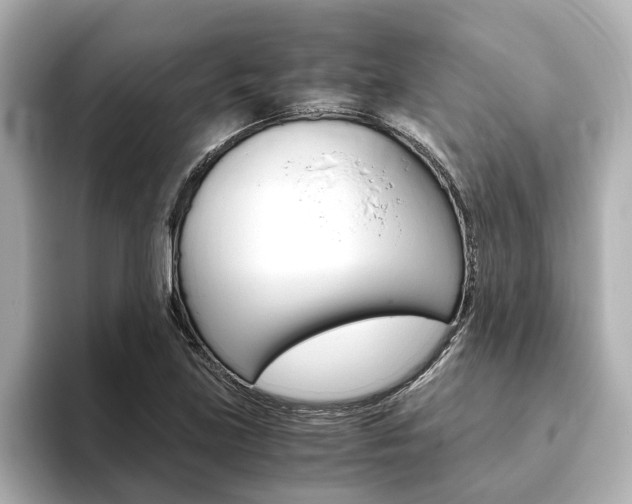 X0000093771219200710160850