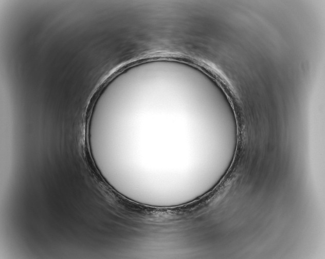 X0000093771220200710160850
