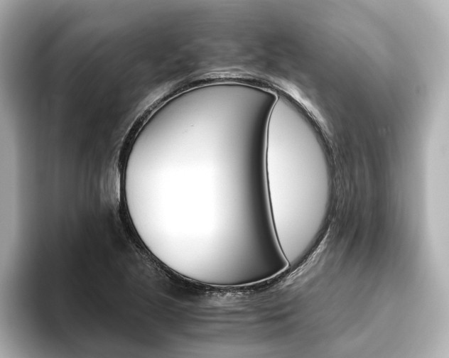 X0000093771221200710160850