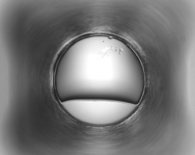 X0000093771224200710160850