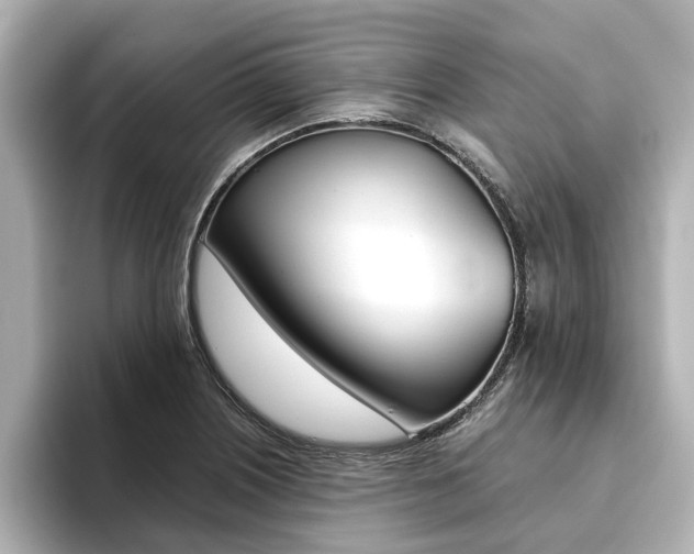 X0000093771226200710160850