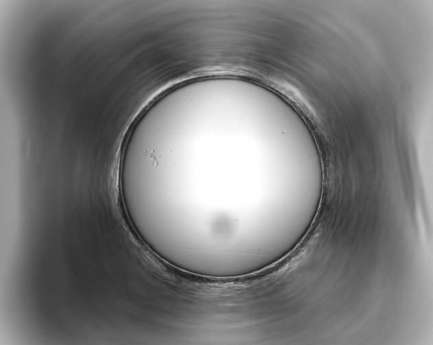 X0000093771228200710160850