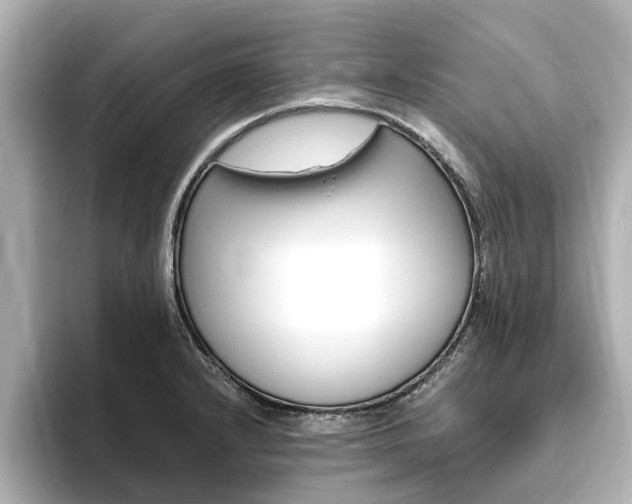 X0000093771232200710160850