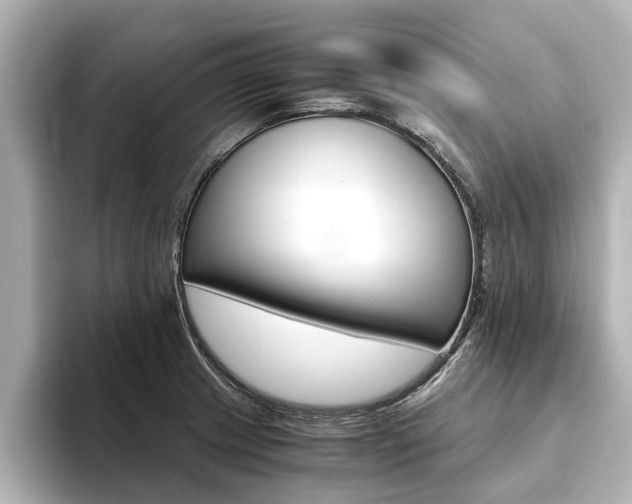 X0000093771233200710160850
