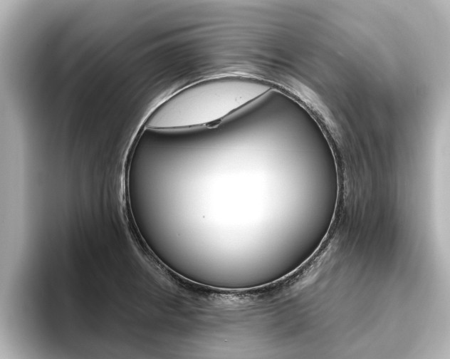 X0000093771234200710160850
