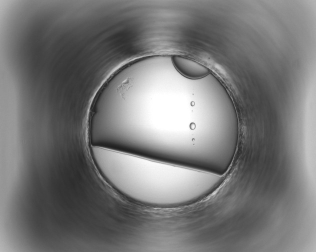X0000093771236200710160850