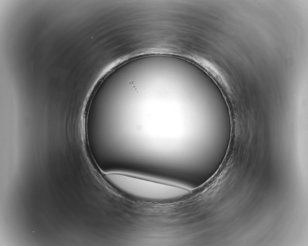 X0000093771238200710160850