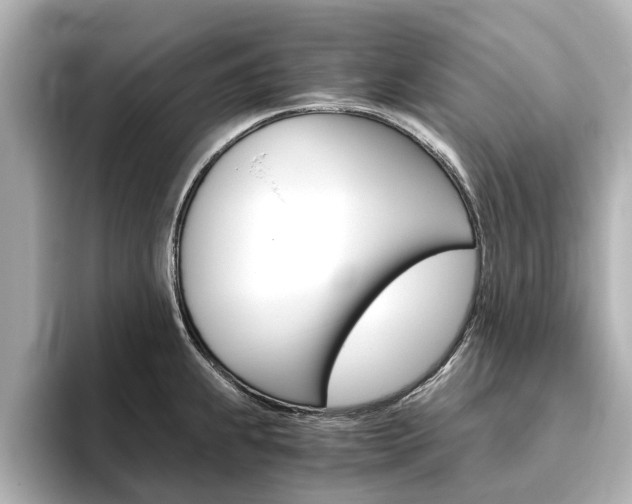X0000093771239200710160850
