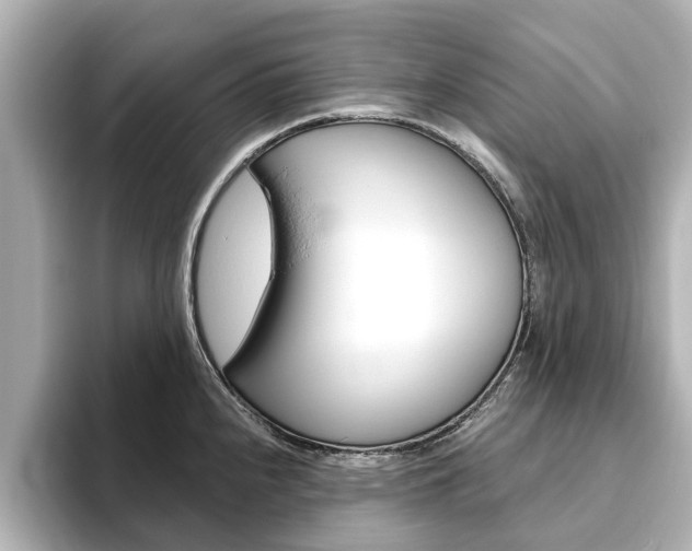 X0000093771240200710160850