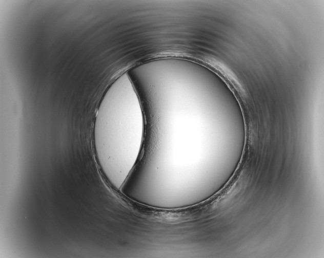 X0000093771241200710160850