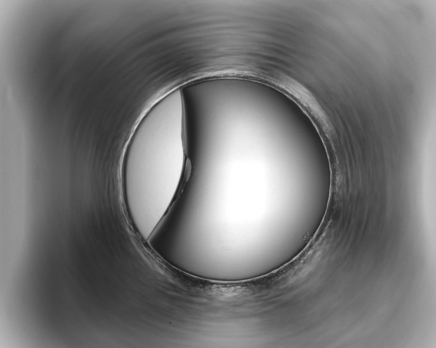 X0000093771242200710160850