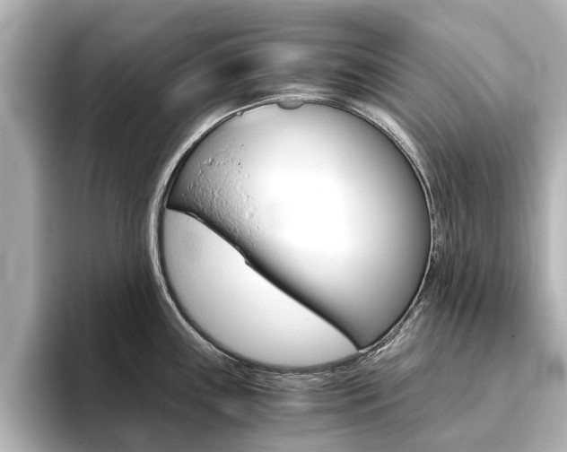 X0000093771243200710160850