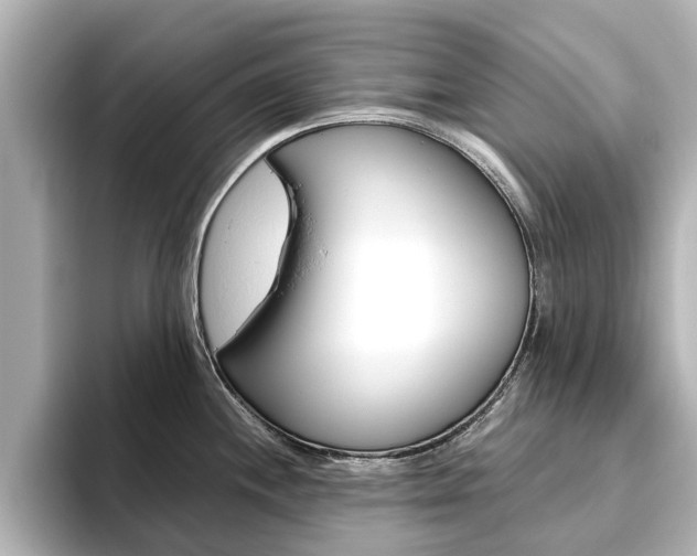 X0000093771244200710160850