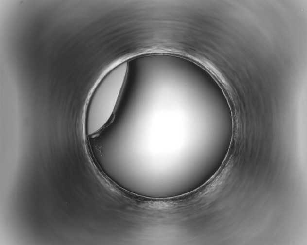 X0000093771246200710160850