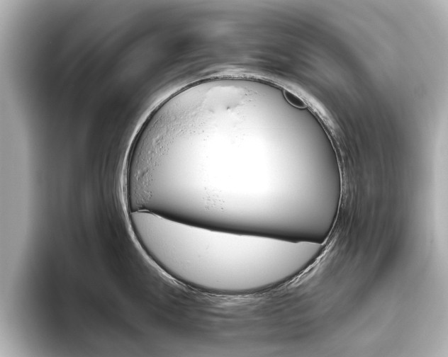 X0000093771247200710160850