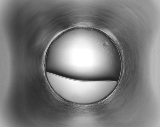 X0000093771248200710160850