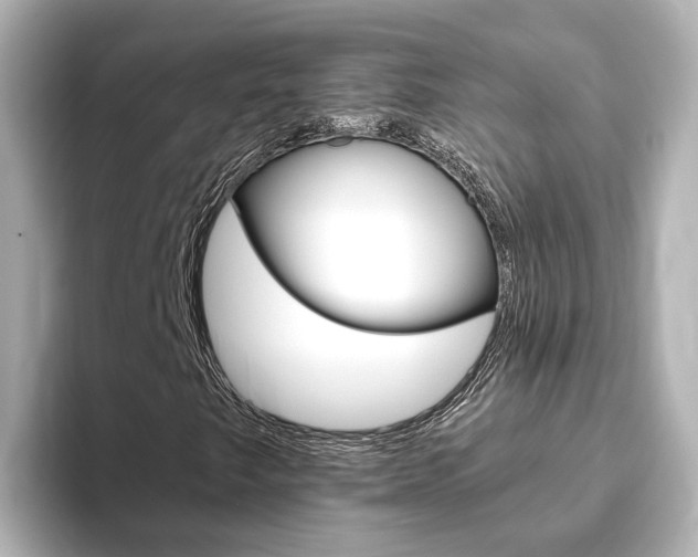 X0000093771249200710160849