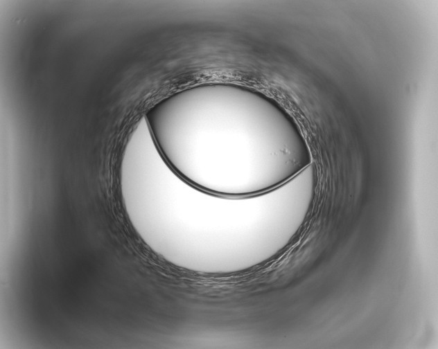 X0000093771253200710160849