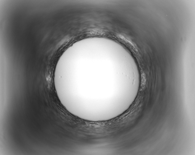 X0000093771254200710160849