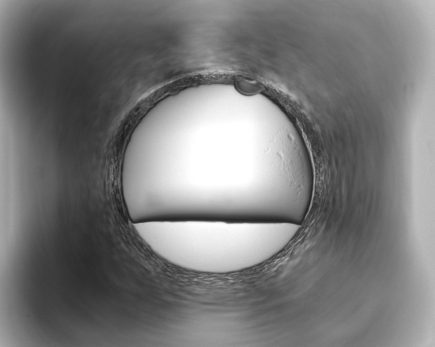 X0000093771255200710160849
